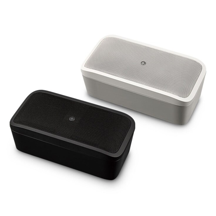 表面式固定喇叭