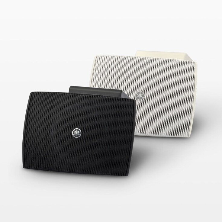 表面式固定喇叭