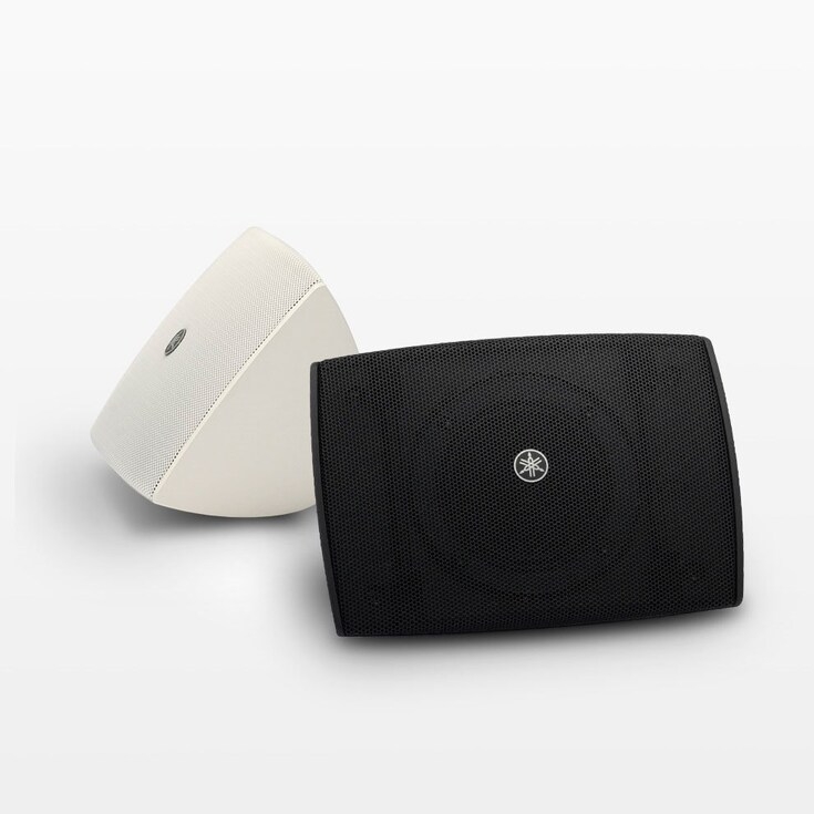 表面式固定喇叭